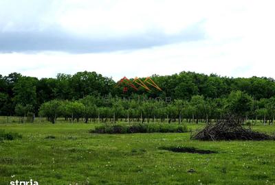 Teren de 964 mp, în Scorțeni - 2