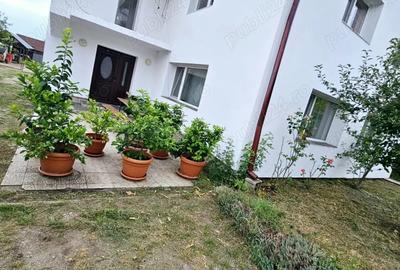 Vand casa+teren, zona Cicarlau, pret usor negociabil! - 2
