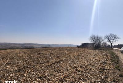 Teren de 6500 mp, în Grănicești - 2