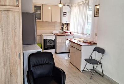 Bucium, apartament 1 camera cu terasa si garaj, la casa - 5