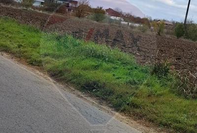 Teren Construcții intravilan de 15805 mp, în Ostratu - 9