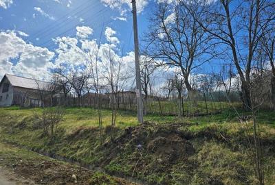 Herneacova-Casa si Teren-Livada- 2876 mp- Front 37m - 3