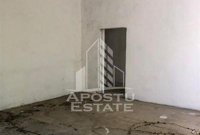 Teren de 8000 mp, în Micălaca - 4