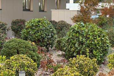 Apartament 2 camere Cortina Pipera cu loc de parcare subteran - 52