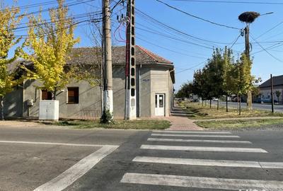 Inchiriez spatiu comercial Sannicolau Mare - 4