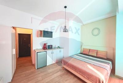 Apartament cu 1 camere semidecomandat, mobilat în Universitate - 3