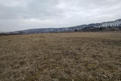 Teren Intravilan de vanzare, 4300mp, front 25 ml, Borhanci - 4