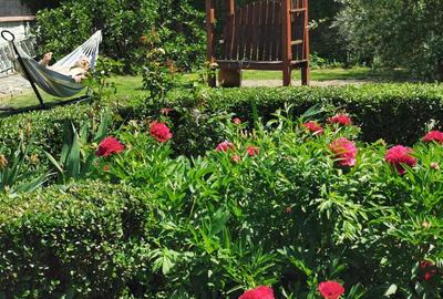 Casă cu 3 camere în Dănești - 2