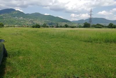 Teren Vaduri, com.Al.cel Bun - 4