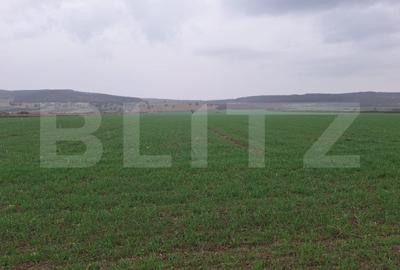 Teren extravilan de 10000 mp, în Cugir