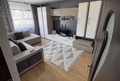 Apartament cu 2 camere decomandat în Valea Rosie