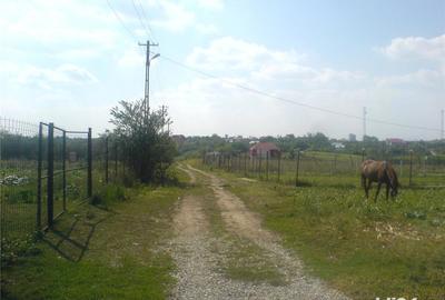 Teren în Sinești - 2