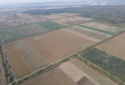 Teren Construcții intravilan de 21350 mp, în Moșnița Nouă - 3