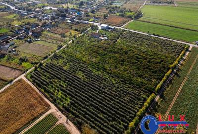 Teren de 44999 mp, în Sabangia - 14