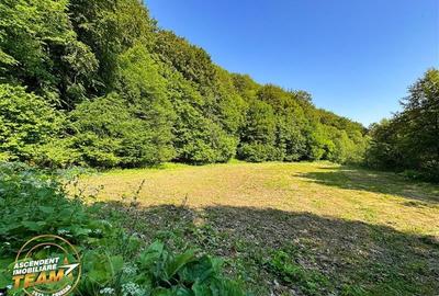 FILM! Teren extravilan pe 2.737mp,zona pretioasa,acces facil,Dobarlau,Covasna - 6