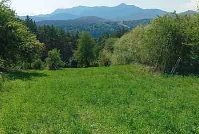 Teren de 1170 mp, în Ruginești - 3