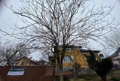 Casă cu 2 camere cu Teren 2400 Mp în Central - 18