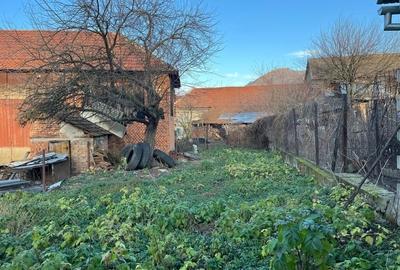 Casă cu 6 camere în Armeniș - 4