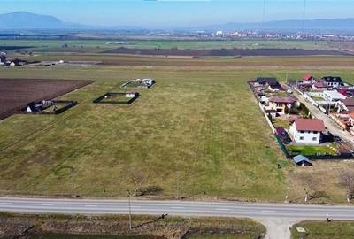 Teren intravilan 18.200mp, cu PUZ si PUD, ideal constructi case, Bod, Brasov. - 13