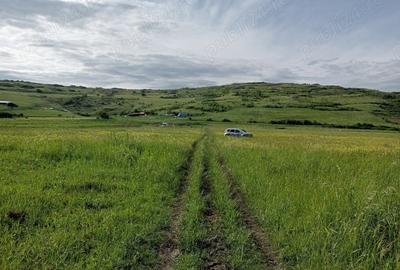 Teren de 1300 mp, în Chinteni - 6