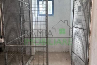 Confort, lumina si spatiu – Apartament 3 camere in zona Coresi, Brasov - 12