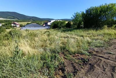 Teren in suprafa?a de 1100 mp, pe strada Crasnei - 4