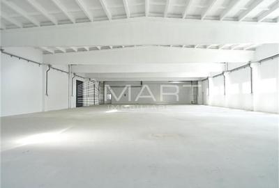 Hala industriala acces TIR, 1000mp Cisnadie - 4