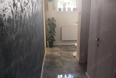 2 camere Valea Argesului - 6