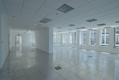 Swan Office Park cladirea Henley, Nord, 245 mp  0% comision! - 9