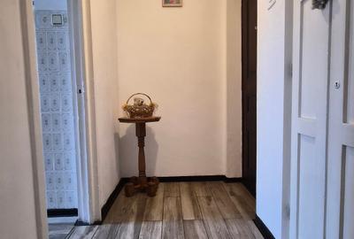 Apartament cu 2 camere semidecomandat în Brotăcei - 12