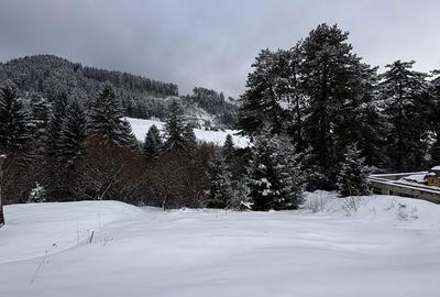 Teren de 580 mp, în Turcheș - 1