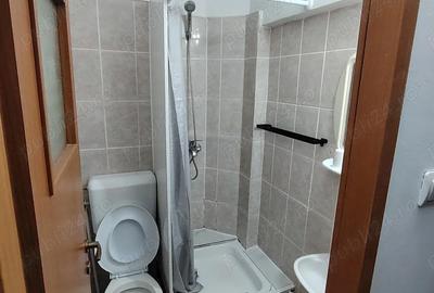 Garsonieră nedecomandată în Nufărul - 3