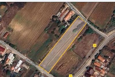 Teren de 2800 mp, în Șopârlița - 1