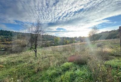 Teren de 1466 mp, în Bejan - 2
