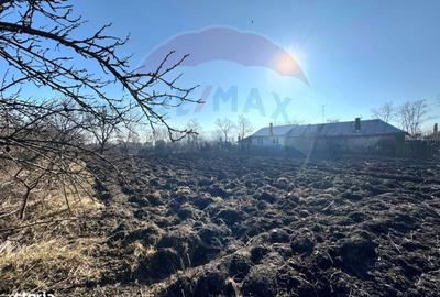 Spațiu comercial, în Săucești - 3