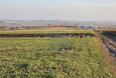 Teren agricol extravilan de 10200 mp, în Stroiești - 4