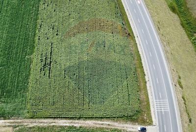 Teren agricol extravilan de 3500 mp, în Ilișești - 11