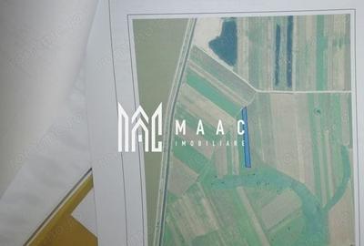 Teren agricol intravilan de 5390 mp, în Racovița - 5