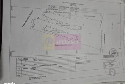 Spațiu comercial, în Albota - 4