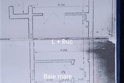 Casa individuala de vanzare Piata Romana - 13