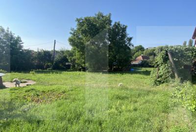 Teren intravilan de vanzare, 821 mp, Strada Borviz - 2