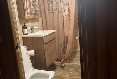 Apartament cu 2 camere decomandat, mobilat în Broșteni - 9