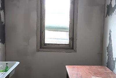 Apartament cu 2 camere nedecomandat în Podu Roș - 7