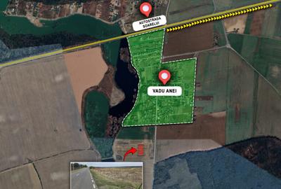 TEREN BRANESTI pentru MICA DEZVOLTARE IMOBILIARA. - 5