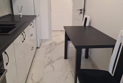 Garsonieră decomandată, mobilată în Dudu - 10