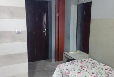 Vand garsoniera la mansarda - 7