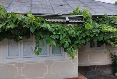 Casă cu 4 camere în Dragosloveni (Soveja) - 7