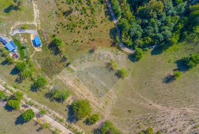 Teren de 6014 mp, în Holbav - 9