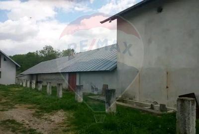 Spațiu industrial, de 400 mp, în Dragodana - 2