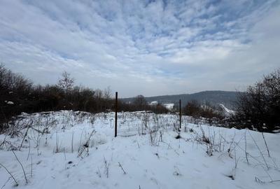 Teren Construcții intravilan de 2877 mp, în Florești